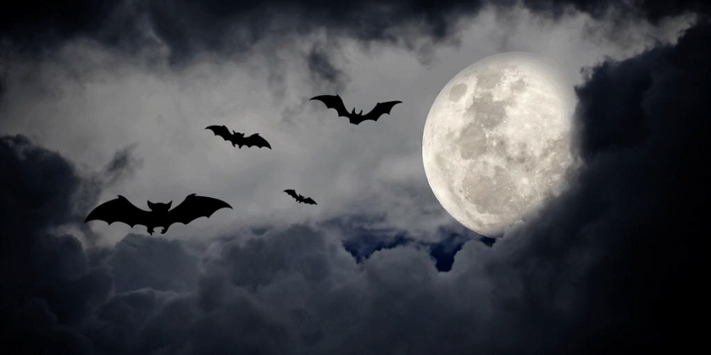 Halloween: Treat, or Trick? – Richard A. Wilson