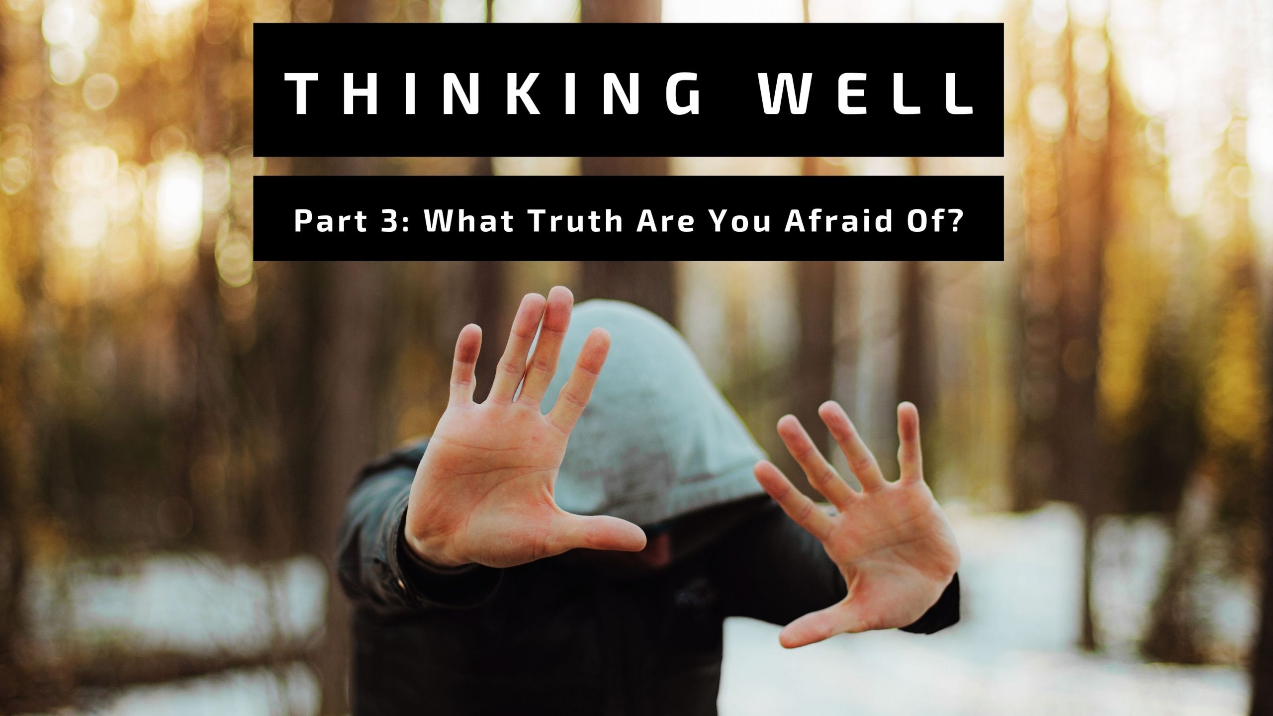What Truth Are You Afraid Of? – Carmine Russo