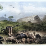Did God Change the Rules After the Flood?